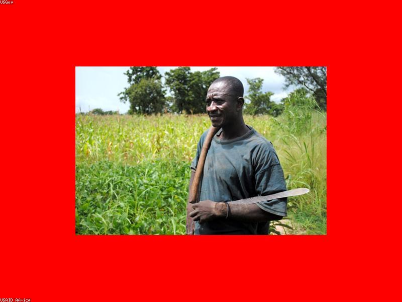 Quality control testing of agricultural commodities for FMCG compliance.