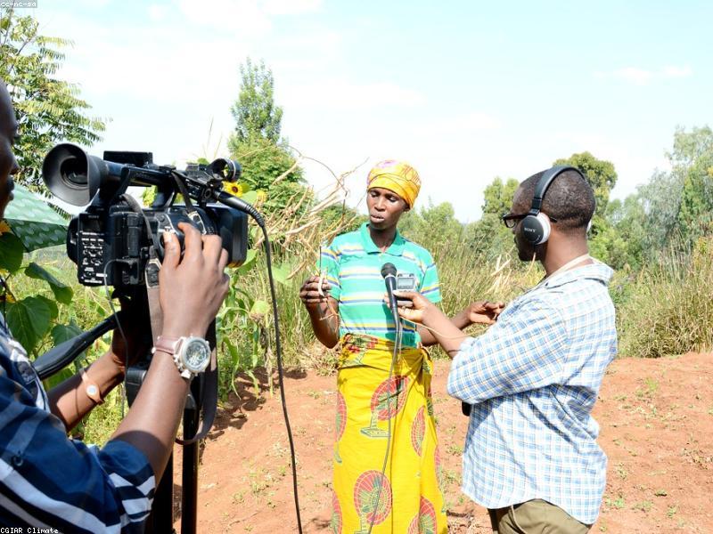 Empowered female farmers participating in a West African cooperative.