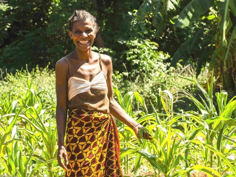 Digital supply chain logistics mapping for African agricultural transport.